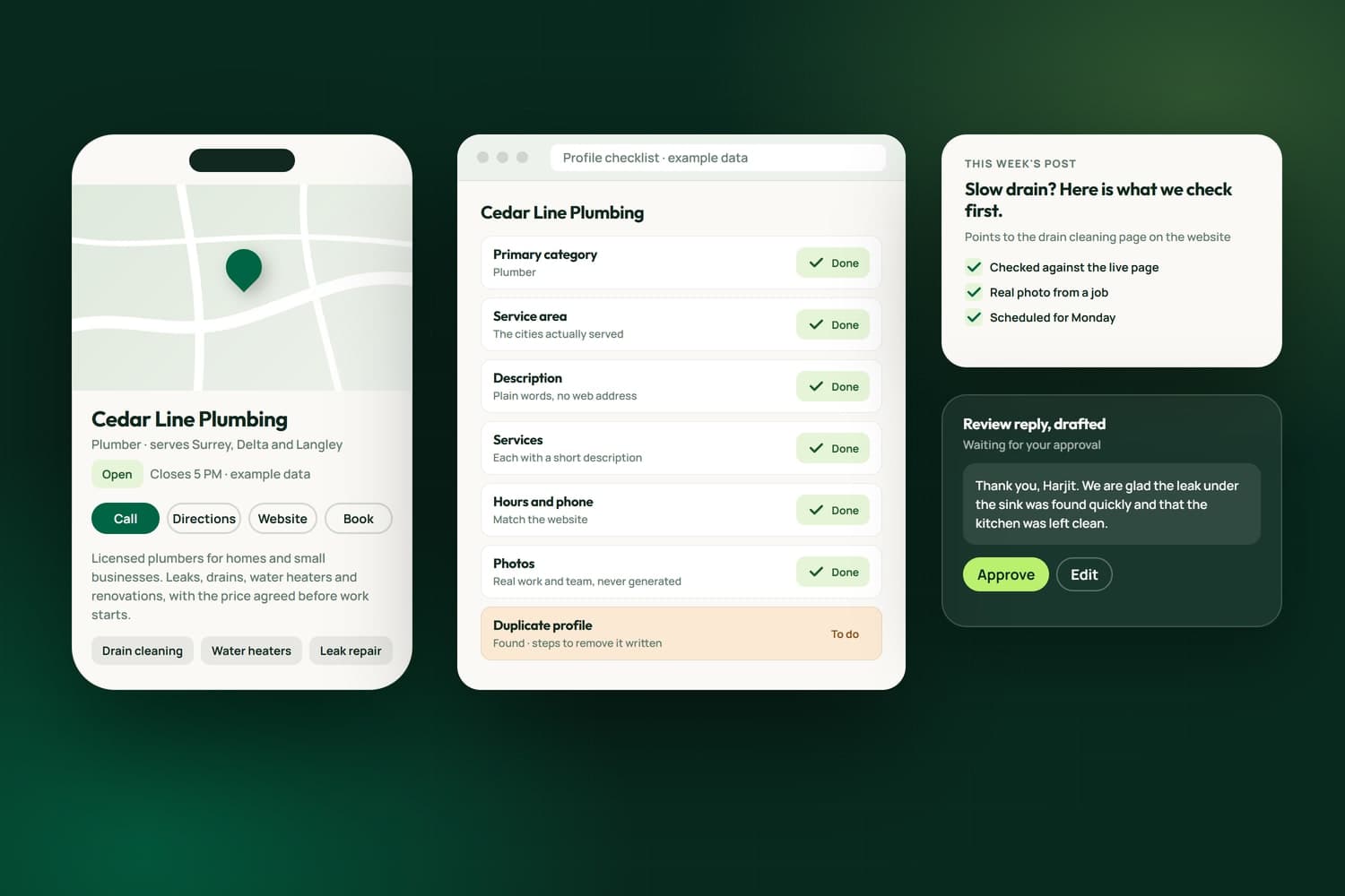 A Business Profile with example data: a plumber's listing on a phone, the profile checklist with a duplicate profile found, this week's post checked against its page, and a review reply drafted for approval