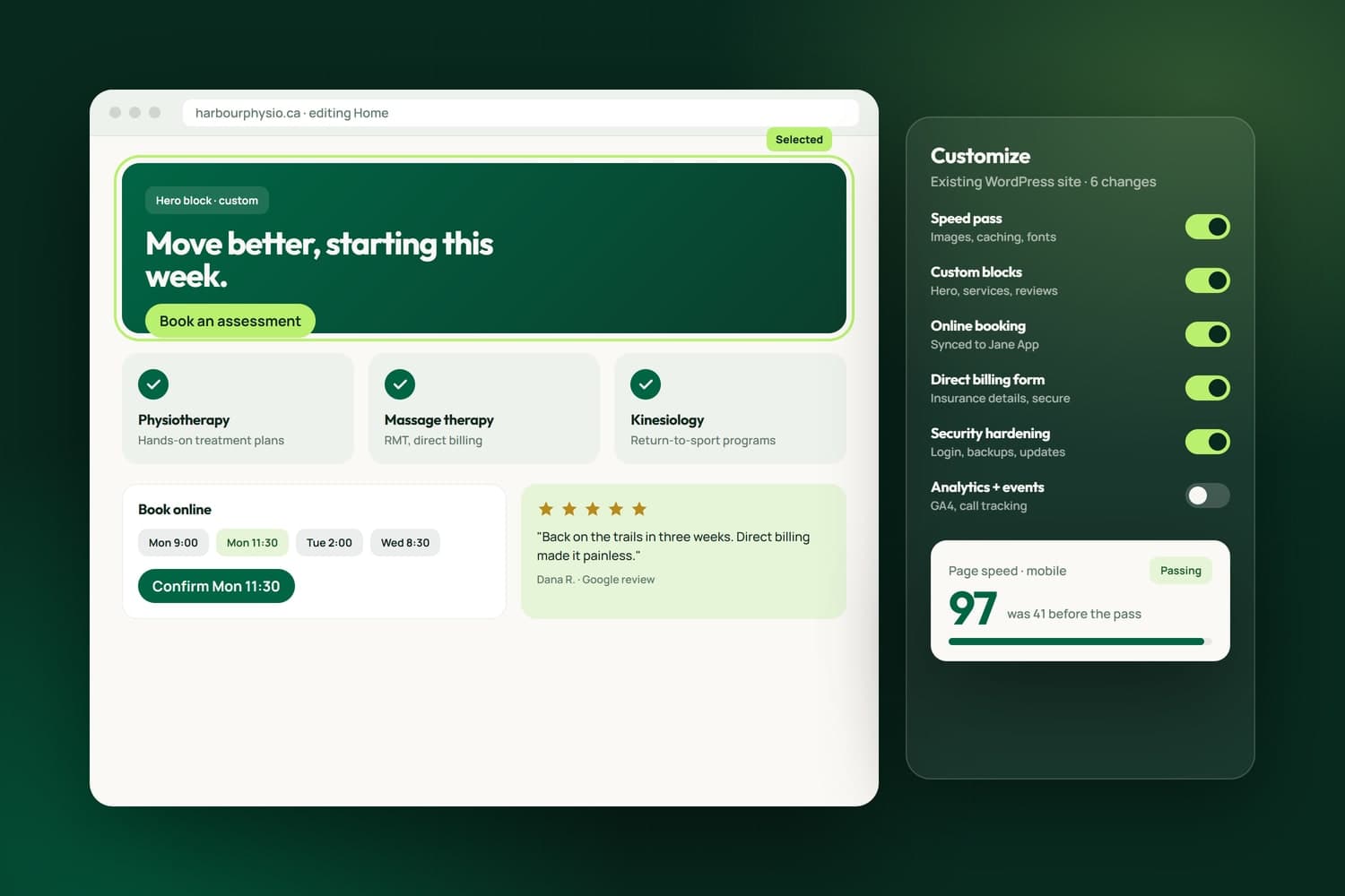 WordPress customization panel